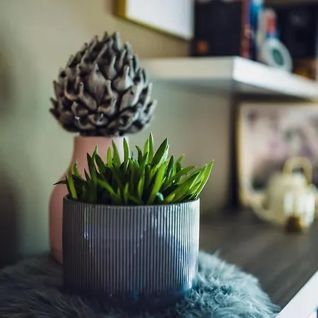 Chalé Laerchen-lodge